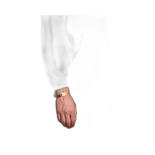 Plate Bracelet