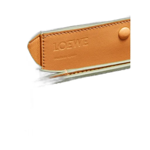 Small Goya bag in silk calfskin