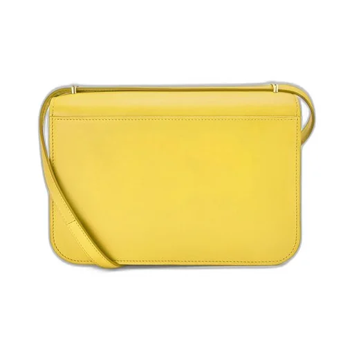 Goya bag in silk calfskin