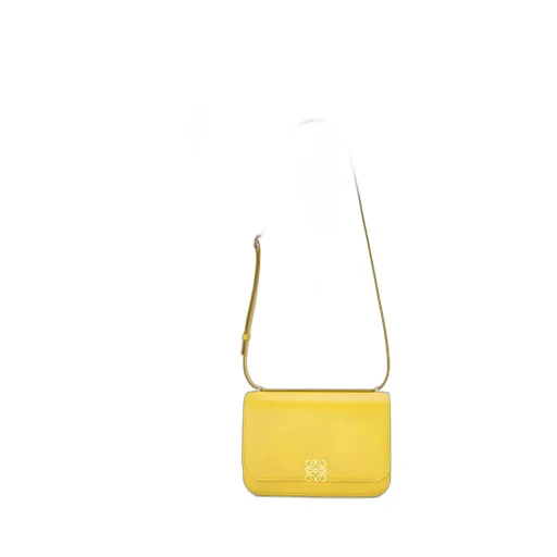 Goya bag in silk calfskin