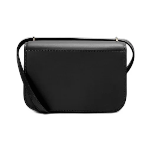 Small Goya bag in silk calfskin