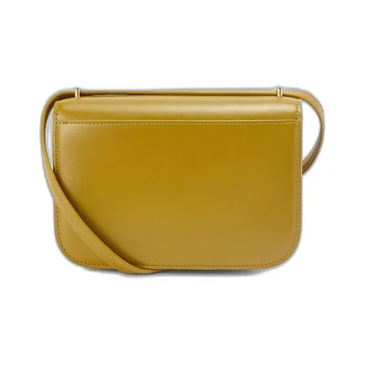 Small Goya bag in silk calfskin