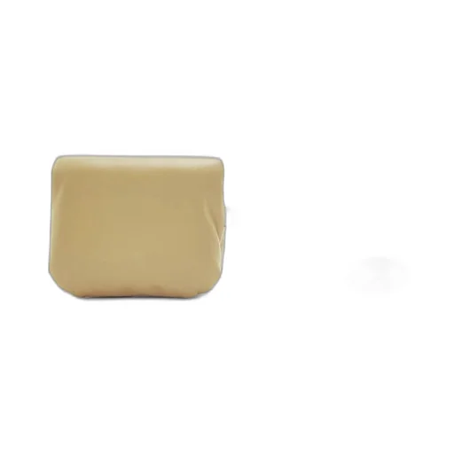 Puffer Goya case in shiny nappa calfskin