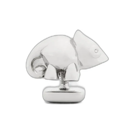 Chameleon pin in brass