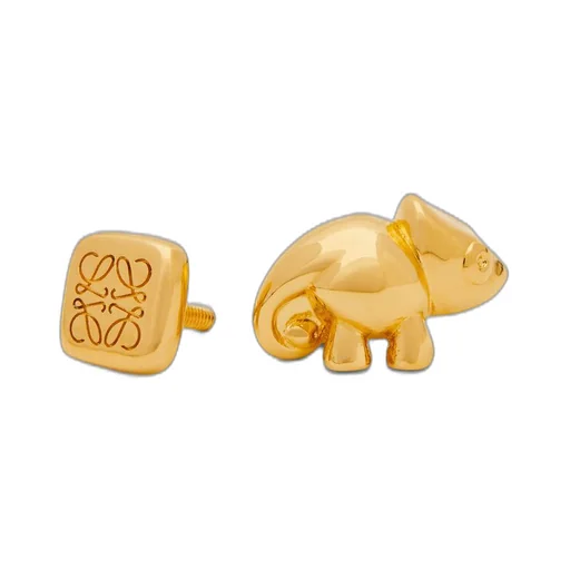 Chameleon pin in brass