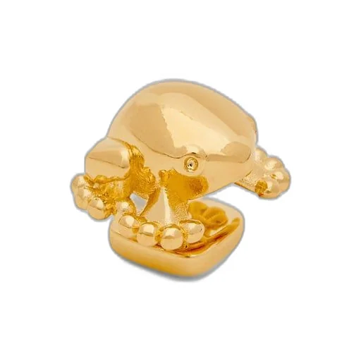 Frog pin in brass