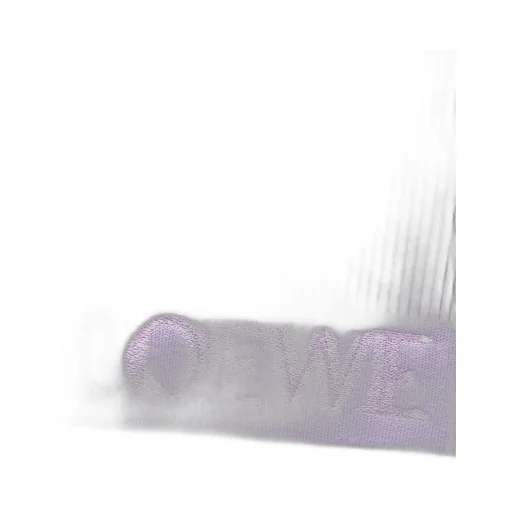 LOEWE scarf in wool