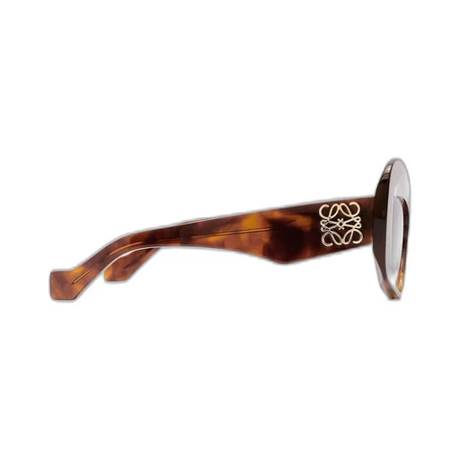 Eagle Wings sunglasses in acetate