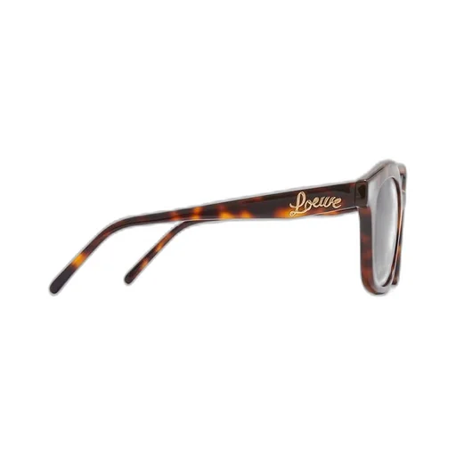 Browline sunglasses in acetate