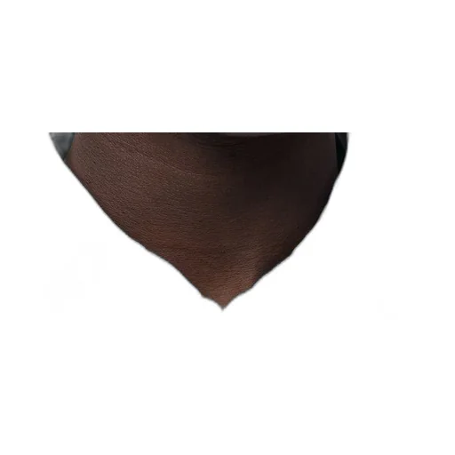Shirt in cotton