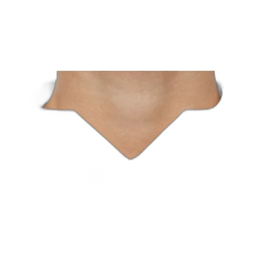 Pleated shirt in cotton