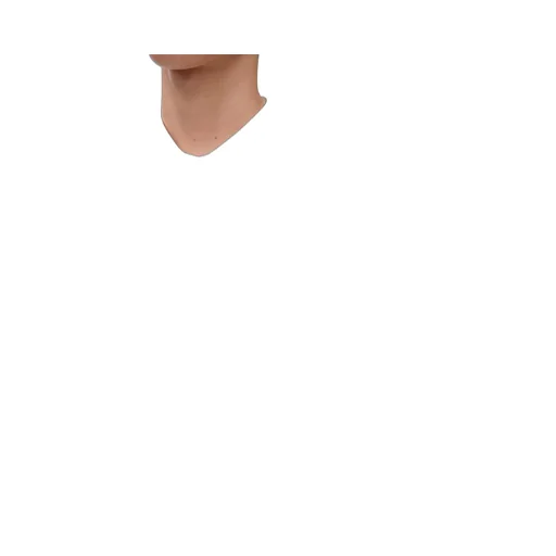 Shirt in cotton