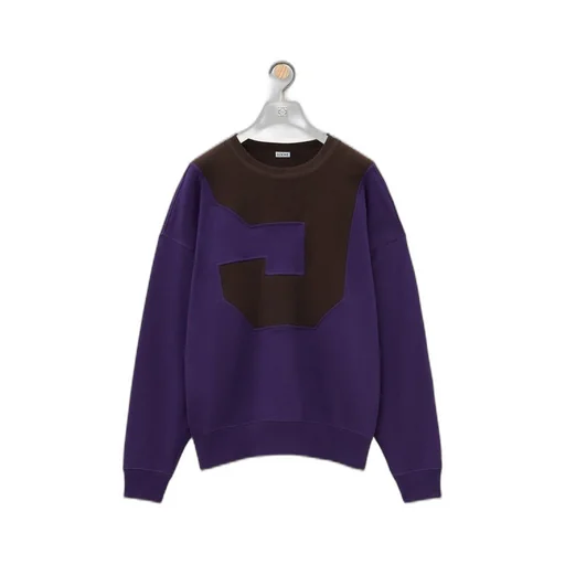 Sweatshirt in cotton