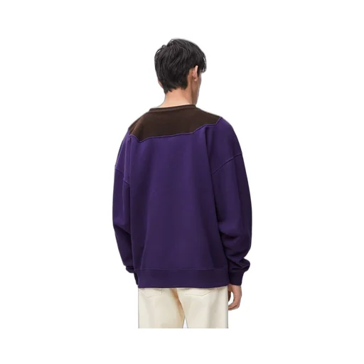 Sweatshirt in cotton
