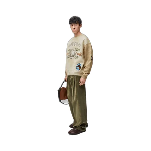 Sweatshirt in cotton