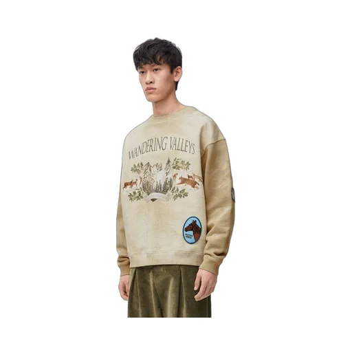Sweatshirt in cotton