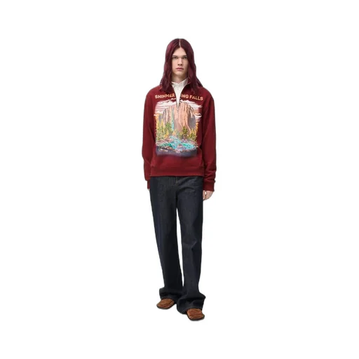 Zip-up sweatshirt in cotton