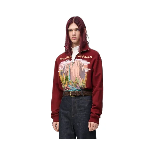 Zip-up sweatshirt in cotton