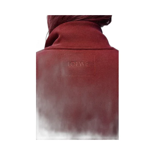 Zip-up sweatshirt in cotton