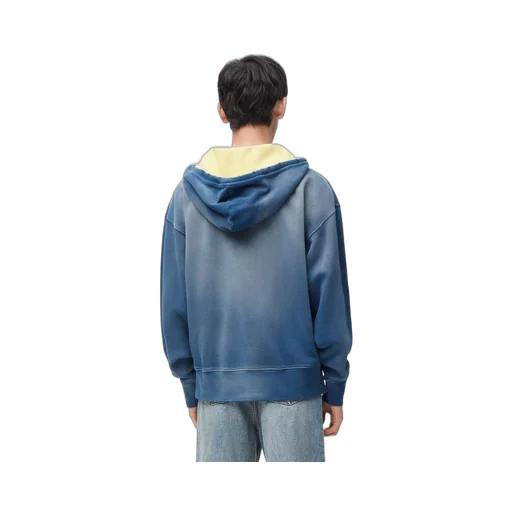 Hoodie in cotton