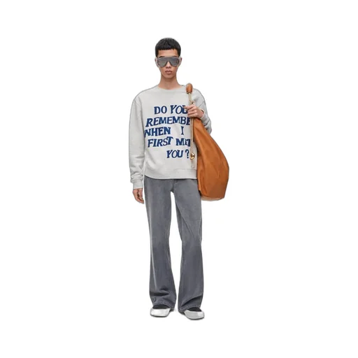Regular fit sweatshirt in cotton