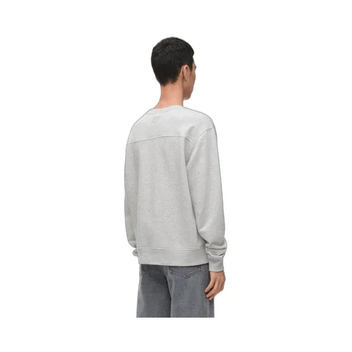 Regular fit sweatshirt in cotton