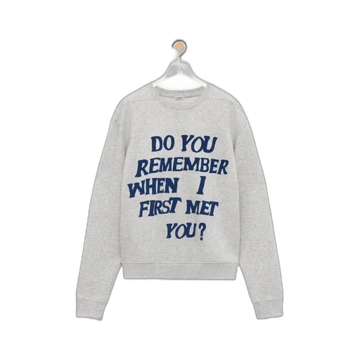 Regular fit sweatshirt in cotton