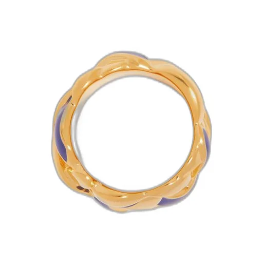 Nest ring in sterling silver and enamel