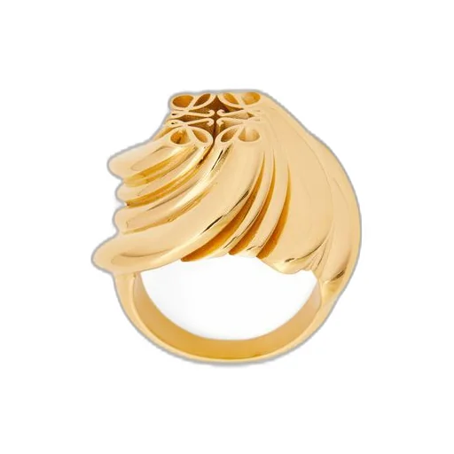 Twisted Anagram signet ring in sterling silver