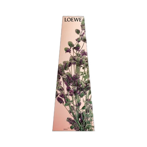 Oregano wax candleholder