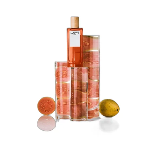 LOEWE Solo Eau de Toilette 50ml
