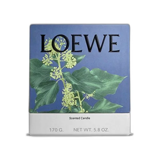 Ivy candle