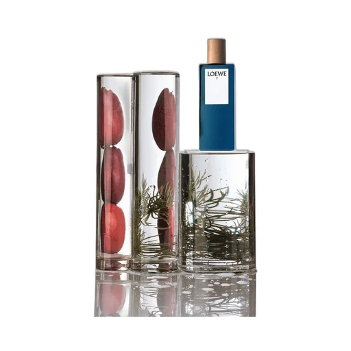 LOEWE 7 Eau de Toilette 50ml