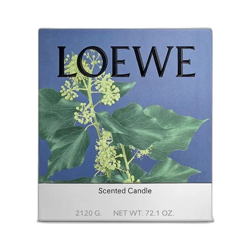 Large Ivy candle