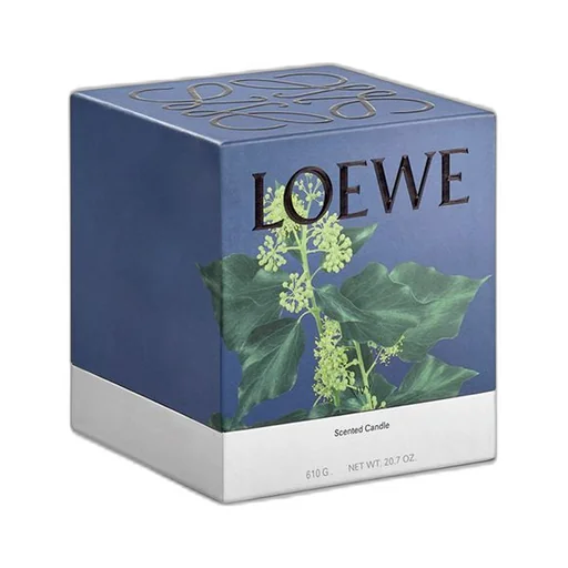 Medium Ivy candle