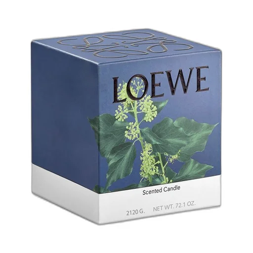 Large Ivy candle