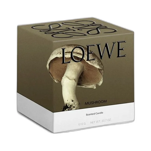 Medium Mushroom candle