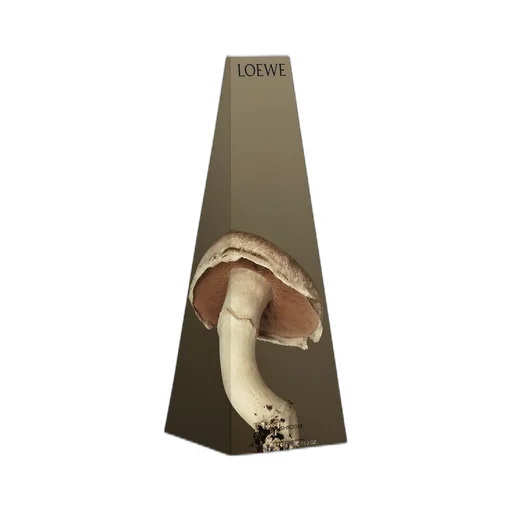 Mushroom wax candleholder