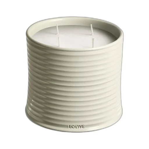Large Mushroom candle