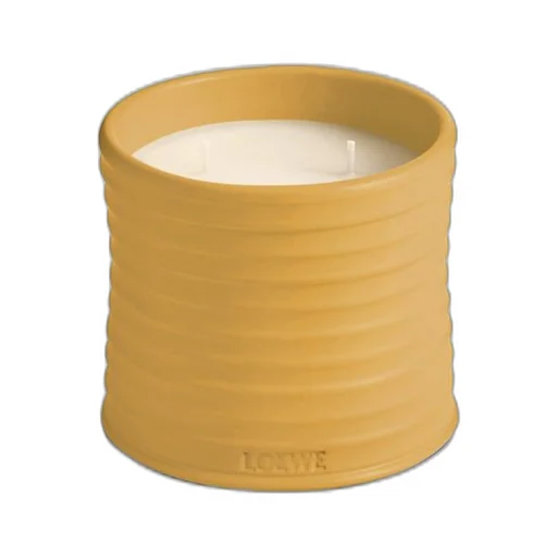 Medium Wasabi candle