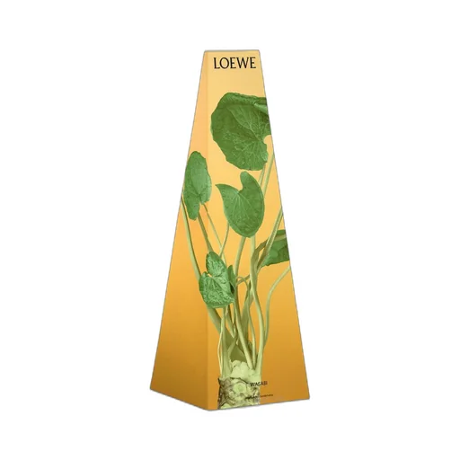 Wasabi wax candleholder