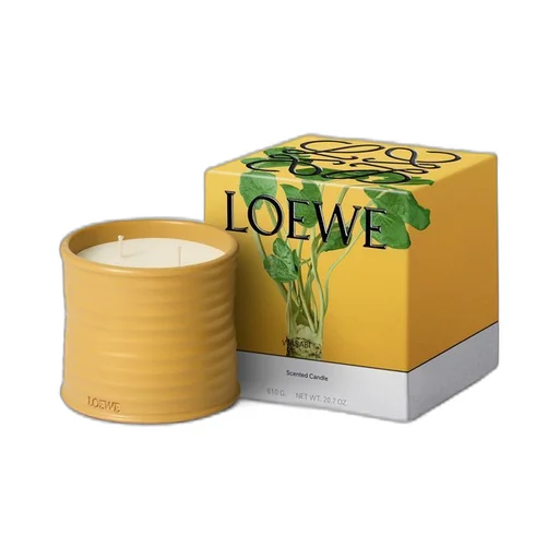 Medium Wasabi candle