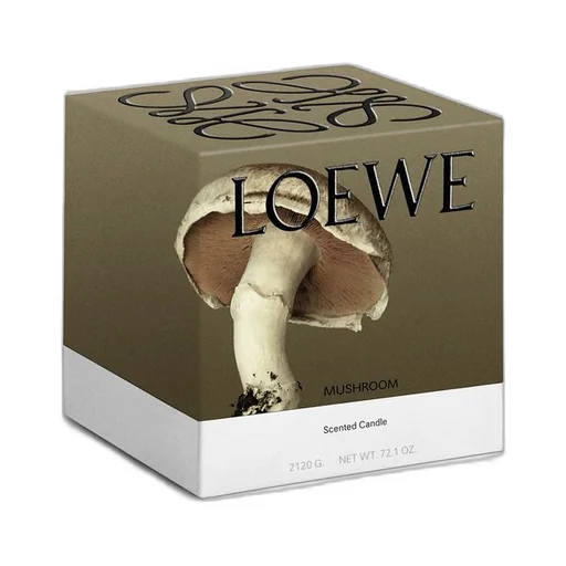 Large Mushroom candle