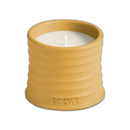 Small Wasabi candle