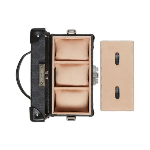 GG rigid watch case