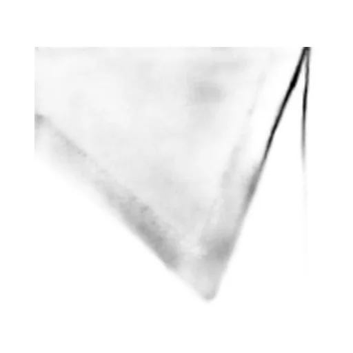 Cotton poplin shirt