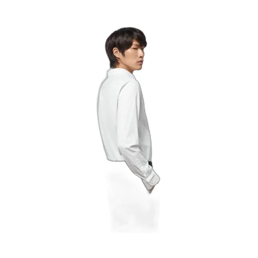 Stretch cotton poplin shirt