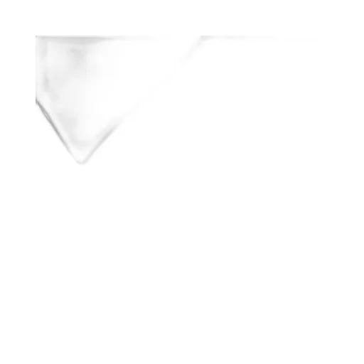Cotton poplin shirt with Double G