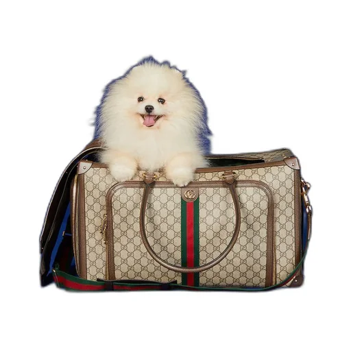 Pet carrier with Web