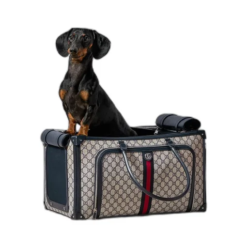 GG Pet carrier with Web